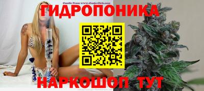 PSILOCYBIN Чебоксары